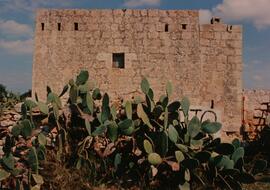 A Maltese farmhouse