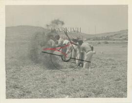 Farmers gathering harvesting and gathering hay