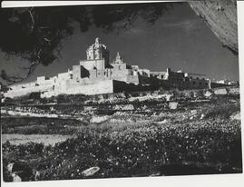 View of Mdina