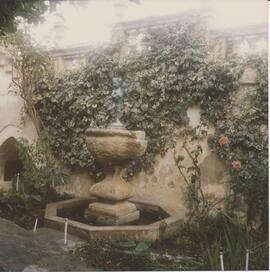 A garden in Mdina