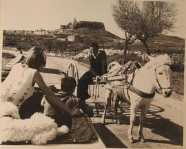 National Lotteries - Victoria (Gozo) Horse cart - Image for the Lottery tickets