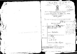 Passport Application of Vassalo Vincenzo Rev DD