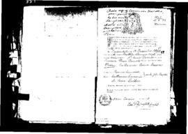 Passport Application of Vassallo Rosa