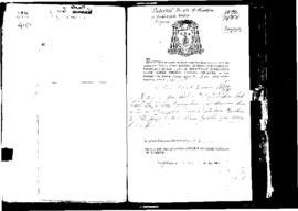 Passport Application of Triolo Salvatore