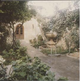 A garden in Mdina