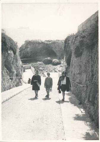 Open original Digital object