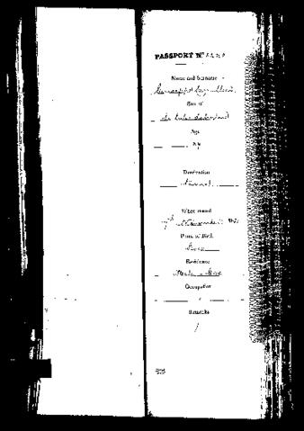 Open original Digital object