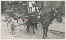 Street vendor with horse and cart