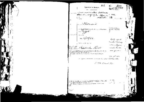 Open original Digital object