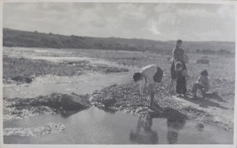 Open original Digital object