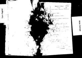 Passport Application of Xiberras Giovanni