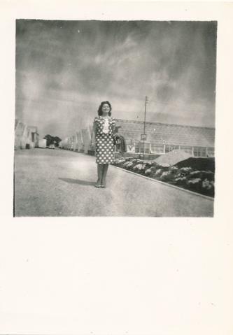 Open original Oggetto digitale