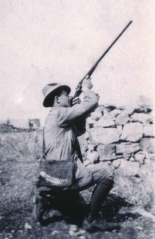 Open original Oggetto digitale