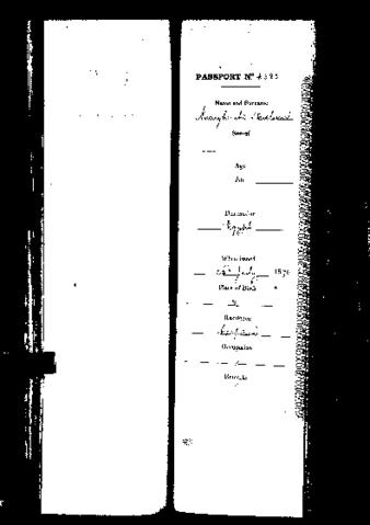 Open original Digital object