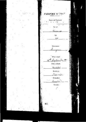 Open original Digital object