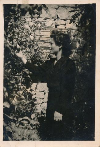 Open original Oggetto digitale