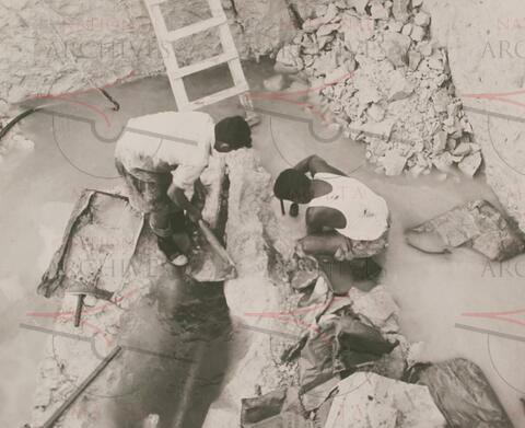 Open original Oggetto digitale