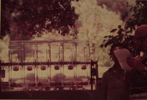 Open original Oggetto digitale