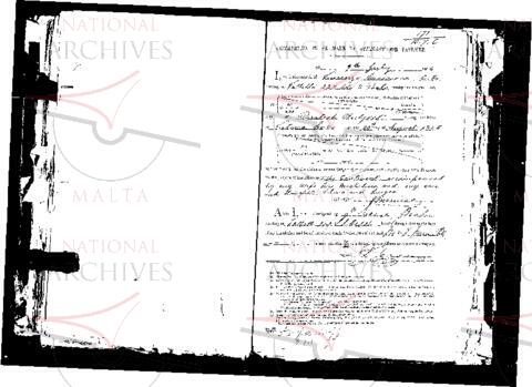 Open original Oggetto digitale