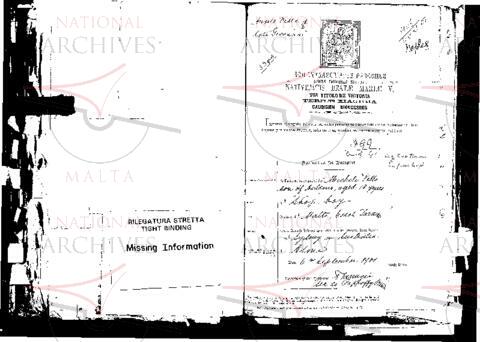 Open original Digital object