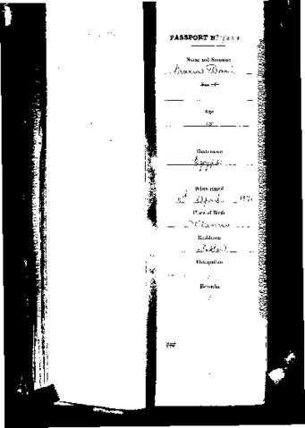 Open original Oggetto digitale