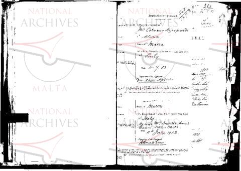 Open original Digital object