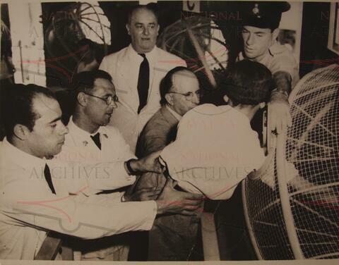 Open original Oggetto digitale