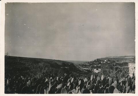 Open original Oggetto digitale