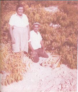 Filomena and Saver Picking Peaches