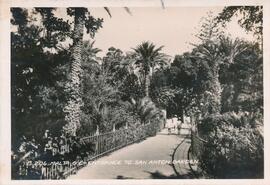 Postcard showing the entrance to San Anton Gardens