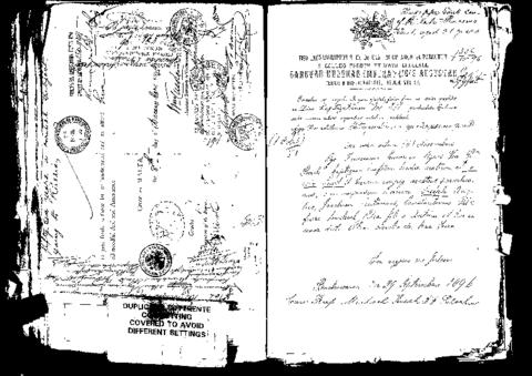 Open original Digital object