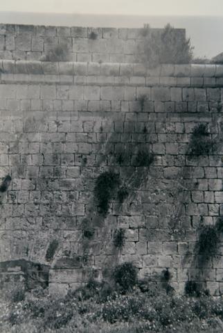 Open original Oggetto digitale