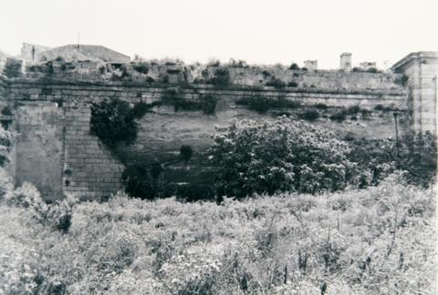 Open original Oggetto digitale