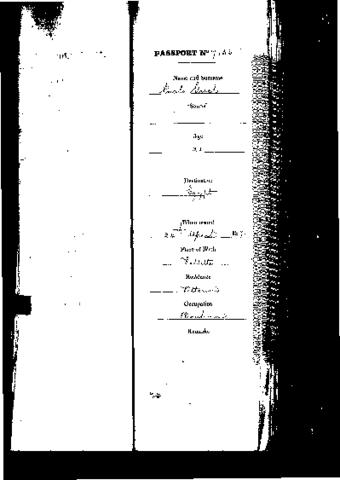 Open original Digital object