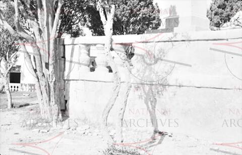 Open original Oggetto digitale