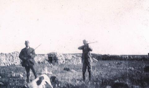 Open original Digital object