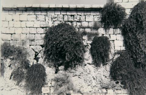 Open original Oggetto digitale