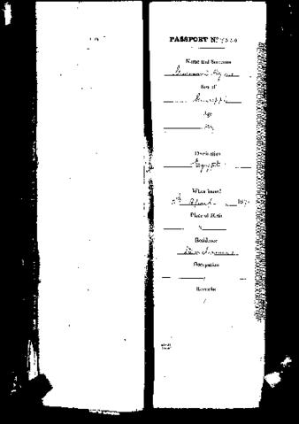 Open original Oggetto digitale