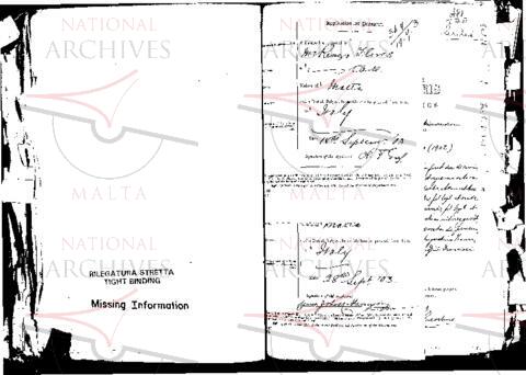 Open original Digital object