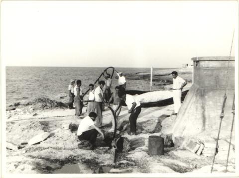 Open original Digital object