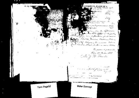 Open original Digital object