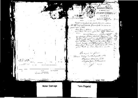 Open original Digital object