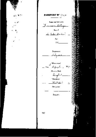 Open original Digital object