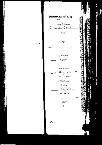 Open original Digital object