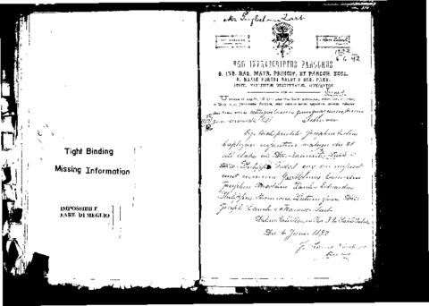 Open original Digital object