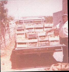 Saver near truck loaded with peaches