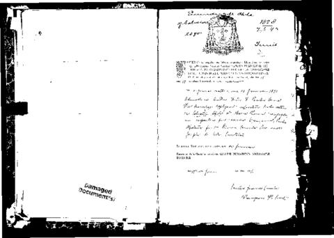 Open original Digital object