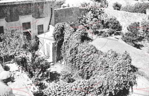 Open original Digital object