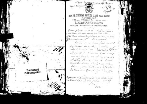 Open original Digital object