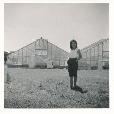 Open original Oggetto digitale